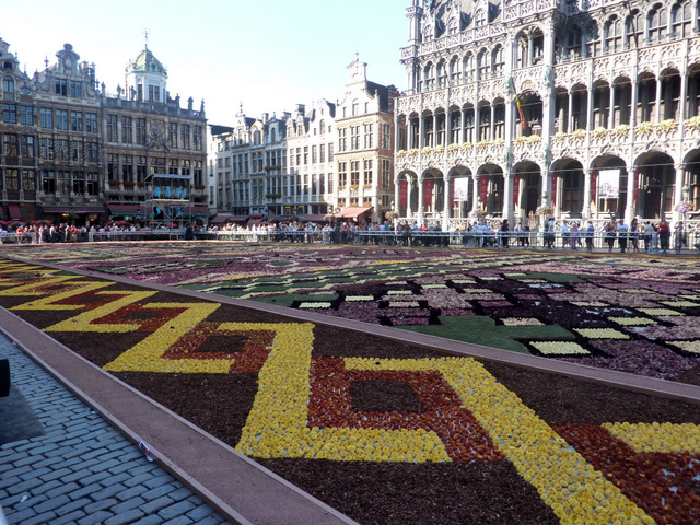 Flower Carpet, Brussels