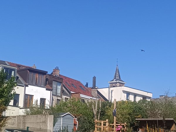 17437573497285995653090978817351