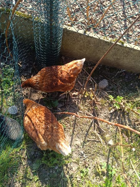 1743774580075685160219742732652